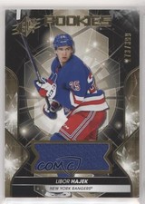 2019-20 SPx Rookies Memorabilia 273/399 Libor Hajek #62 x7n