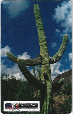 TK 125b Telefonkarte/Phonecard USA 20$ Cactus Amerivox Sample Auflage ?