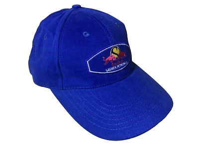 Red Bull Sauber Petronas Formula 1 Racing Team Hat Cap Blue Cotton Vintage