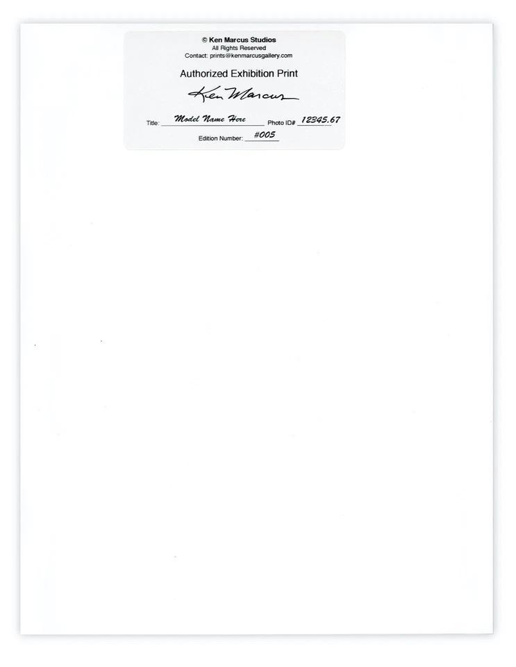 Traje de baño Pamela Anderson 92-005 Baywatch foto 8,5x11 firmada por Ken Marcus Foto 3 de 4