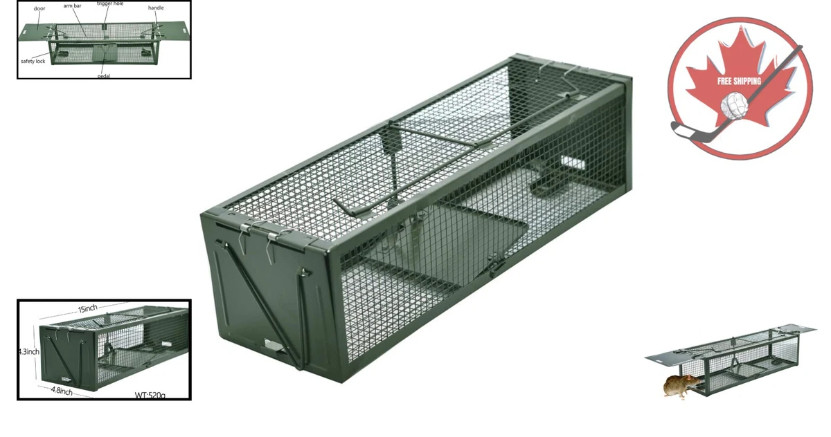 2 Door Mouse Cage Trap Catch Rats Squirrels More Safe