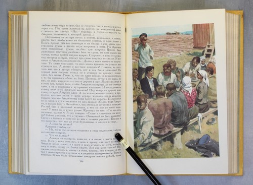Mikhail SHOLOHOV Russian book ШОЛОХОВ Поднятая целина Библиотека для детей📖 - Picture 17 of 24