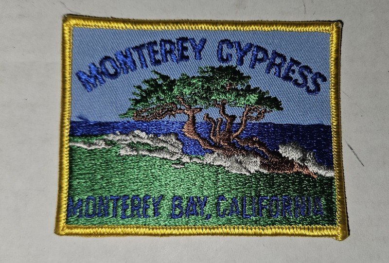 Vintage MONTEREY CYPRESS Twill Embroidered PATCH Day California CA Badge Tree
