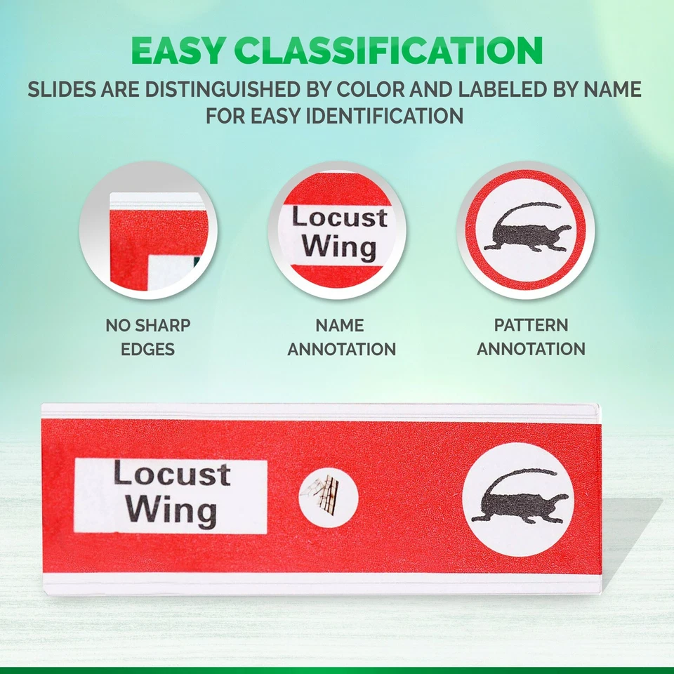 AMSCOPE-KIDS 48pc Plástico Preparado Microscopio Diapositivas de Animales Insectos Plantas Foto 2 de 4