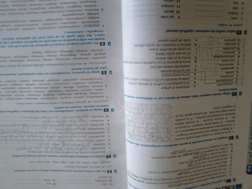 ACCORDI LINGUISTICI. TOMO A. LE STRUTTURE GRAMMATICALI. - Foto 7 di 7