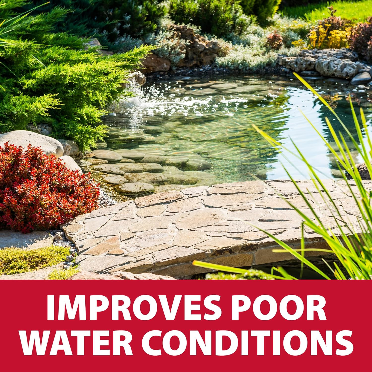 The Pond Guy Rapidclear Flocculant, Water Garden Clarifier Treatment, Clear Clou