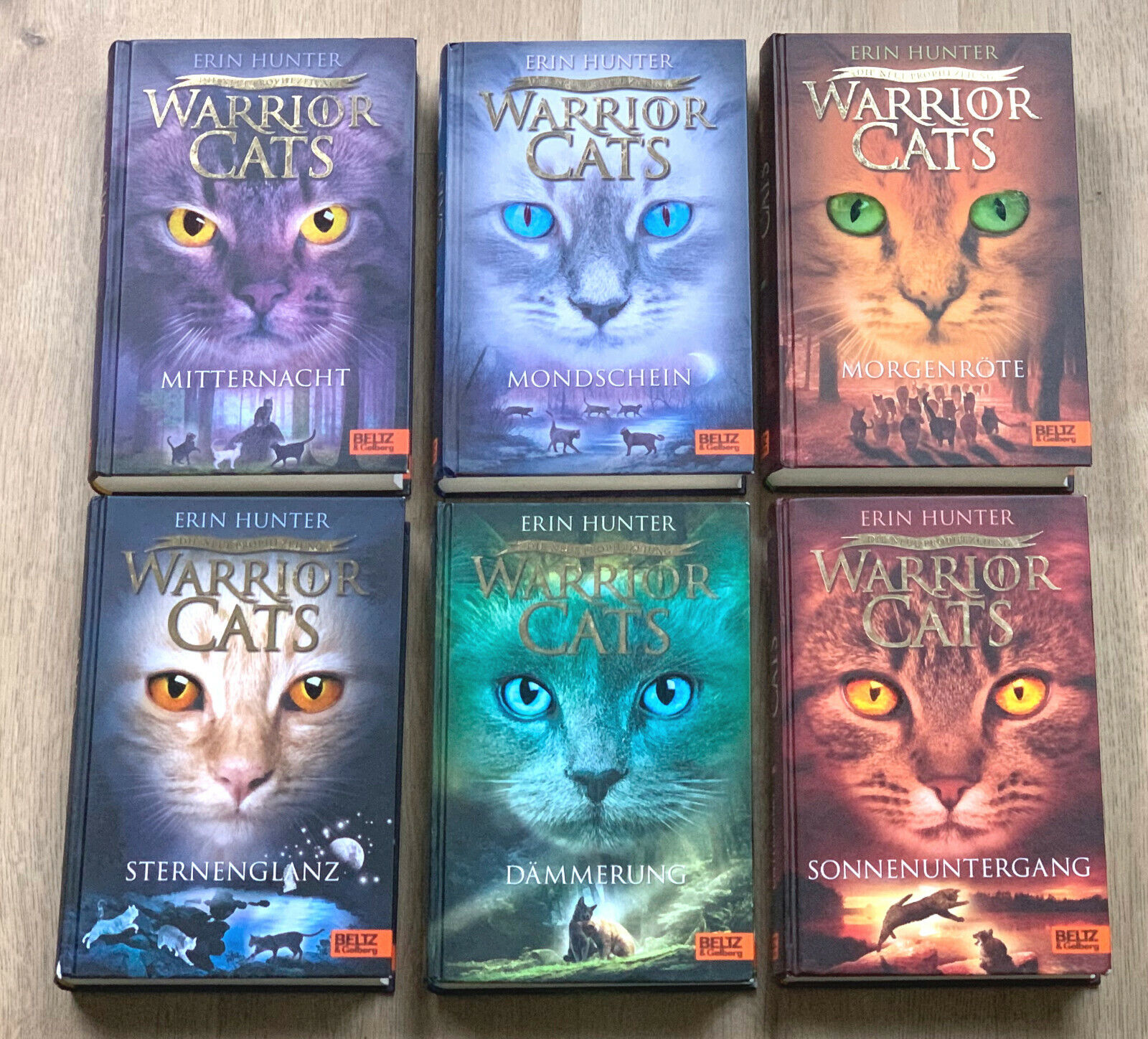 Staffel II » Warrior Cats