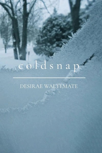 Desirae Waltemate | Coldsnap | Taschenbuch | Englisch (2026) | EAN 9781807026332-image