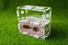 New queen Ant Nest Gypsum Nest Water Housing Farm Formicarium Feeding area