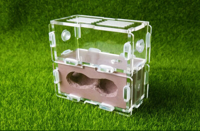 New queen Ant Nest Gypsum Nest Water Housing Farm Formicarium Feeding area 竖巢