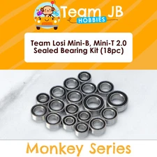 Team Losi Mini-B, Mini-T 2.0, V2 - Brushed/Brushless - 18 Pc Sealed Bearings Kit