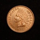 1884 Indian Head Cent  MS++++