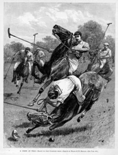 POLO MALLET HORSES CROSS AT POLO ACCIDENT HORSE AND PLAYER FALL TO THE GROUND