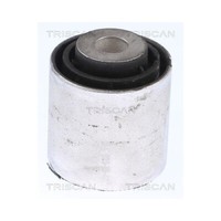 Lagerung, Lenker Triscan 8500 118019 FüR Bmw, AchsköRper, Hinterachse, Hinten