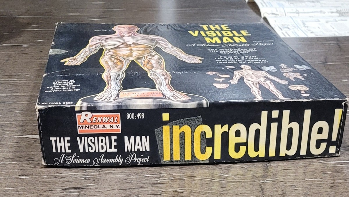 Vintage 1959 Renwal The Visible Man Plastic Model Kit 800