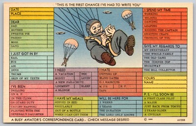 Busy Aviator's Correspondence - Check Message Desired - Humor Postcard 9407