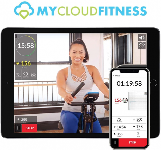 exerpeutic 900e exerwork