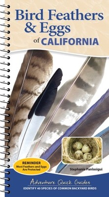 Bird Feathers & Eggs of California by Stephanie Panlasigui (Spiral bound)
