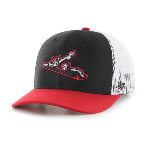 RICHMOND FLYING SQUIRRELS MiLB MINOR LEAGUE BASEBALL SNAPBACK TRUCKER CAP HAT - Picture 3 of 7