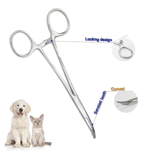2 PCS Pet Ear Nose Hair Puller Set Straight Curved Hemostat Locking Forceps - Picture 5 of 9