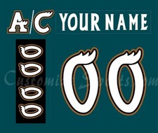 Manitoba Moose Customized Number Kit For 2010-2011 Away Uniform