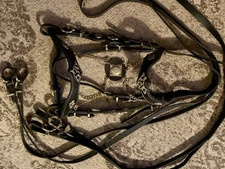 Portuguese Spanish Bridle