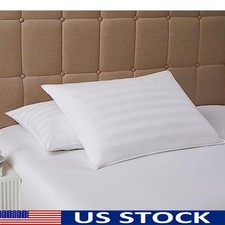 Hypoallergenic Down Extra Thin Flat & Soft Bed Pillow Stomach Sleepers Queen New