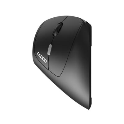 Rapoo EV250 Kabellose Ergonomische Maus, 1600 DPI, Schwarz - Optimal für Windows