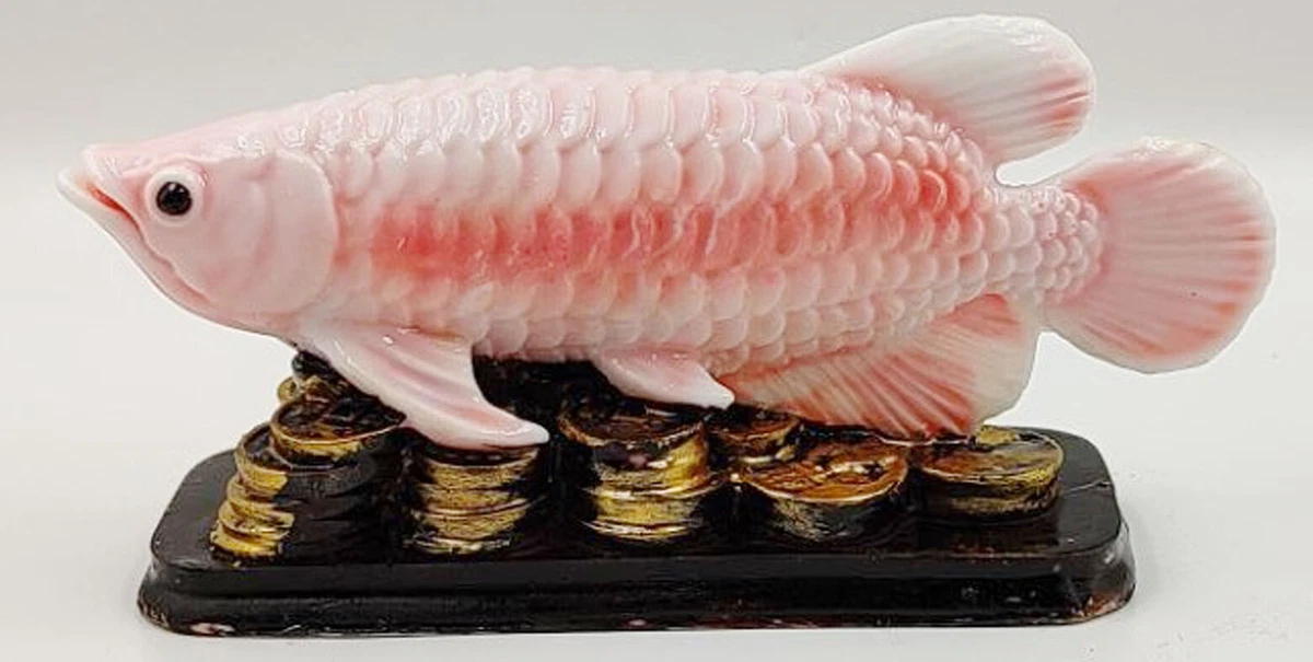 Arowana Fish Feng Shui Direction