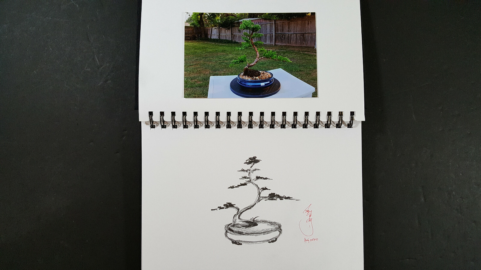 Picture 7 of 12