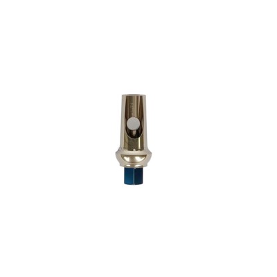 1/3/5/10/20 pcs Dental Angled Titanium Abutment 15/25 Degree Fits SIC 3.3