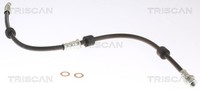 Bremsschlauch Triscan 8150 42142 FüR Mitsubishi Asx Outlander 3 Lpg Mivec GA1W