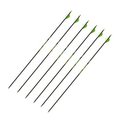 Gold Tip Hunter XT Arrows 340 with 2-Inch Raptor Vane (Pack of 6)