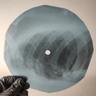 LED ZEPPELIN HEARTBREACKER X-Ray USSR Record Roentgen Bone Ribs Music Vinyl