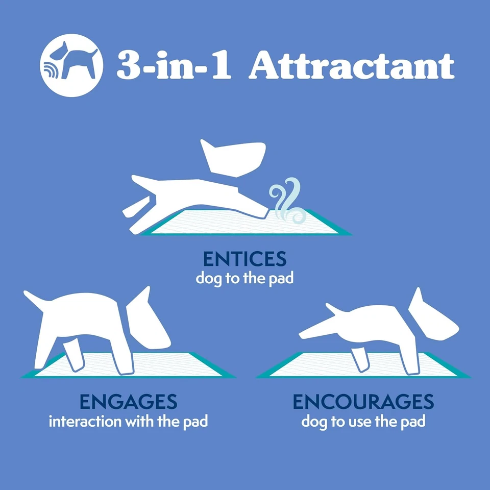 Almohadillas de entrenamiento para cachorros extra grandes, a prueba de fugas, almohadillas para ir al baño, absorbentes, desechables Foto 4 de 4