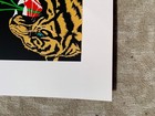 JUNGIL HONG Tiger 2016 Art Print #273/300 Poster PROVIDENCE Chippendale Thunder — photo 3