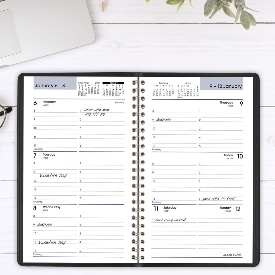 ATAGLANCE 2025 Appointment Book Planner, Weekly, 5" x 8", Small