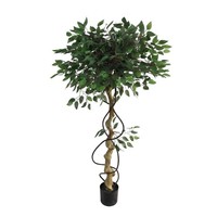 KüNstliche Ficus In Verdrehter Stammoptik Im Topf, HöHe 150 Cm