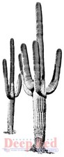 Deep Red Stamps Saguaro Cactus Rubber Cling Stamp