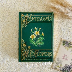 Familiar Wild Flowers | eBay