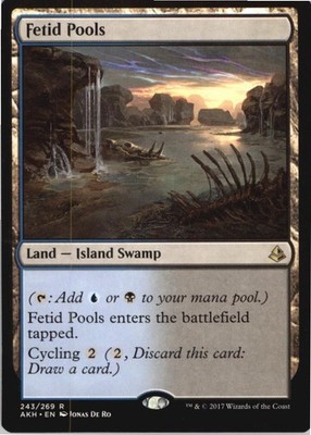 Fetid Pools R Amonkhet 243 NM MTG x1
