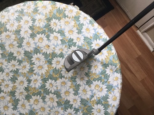 Aquity CP Cadet Pro II RH Youth Putter Golf Club Flex Tech Graphite 32" Used - Picture 3 of 7