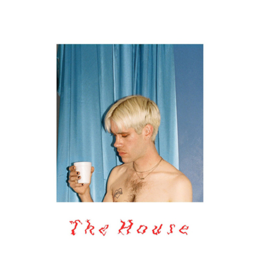 Porches The House (Vinyl LP) 12" Album
