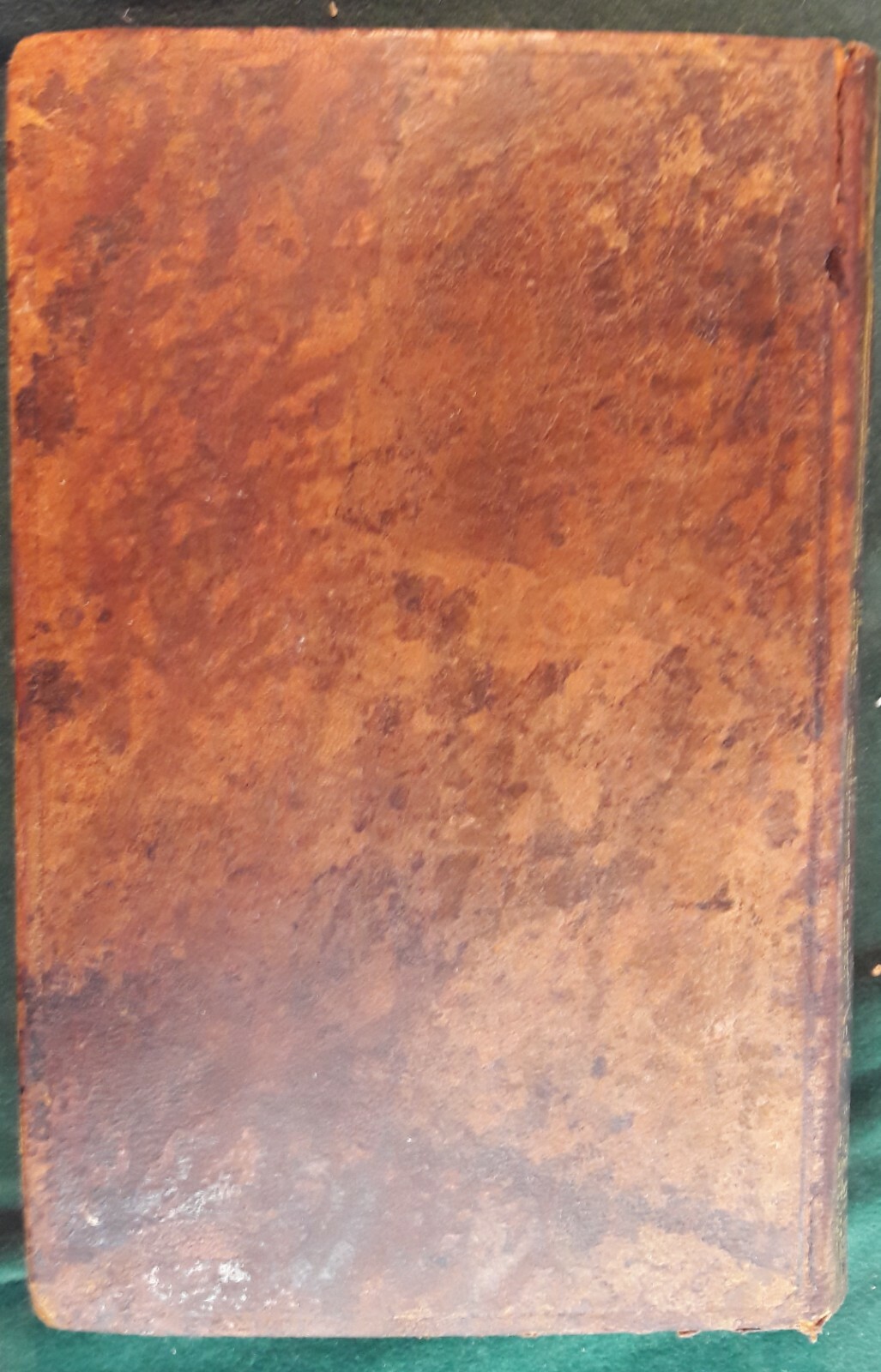Picture 4 of 12