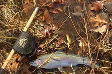 Raven XL Neoprene Reel Pouch / Cover, Black