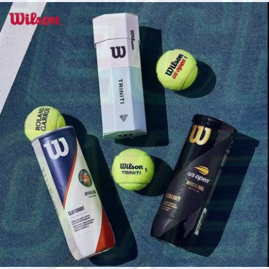 Wilson Tour Premier All Court Tennis Ball French Open Roland Garros WRT126400