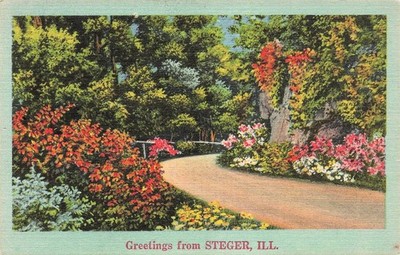 Chicago Steger IL Illinois Cook County Country Road Foliage Vtg Postcard J14