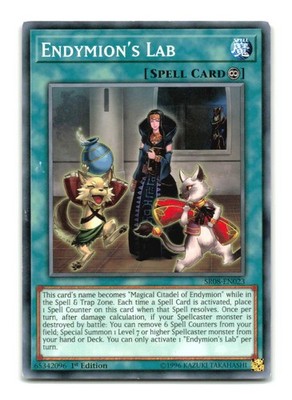 Endymion's Lab - SR08-EN023 1st Edition - YuGiOh-LP