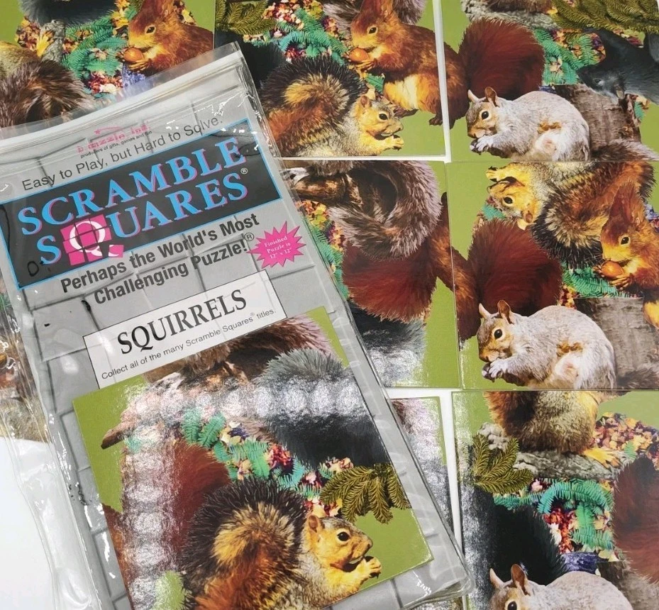 Rompecabezas SQUIRELS SCRAMBLE SQUARES 9 piezas B. Dazzle Inc desafiante Foto 2 de 3