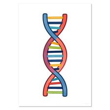 Poster / stampe da parete 'DNA doppia elica' (PP062514)